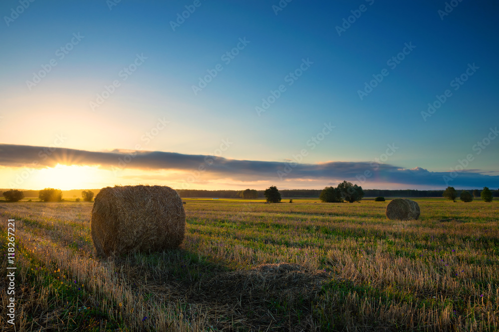 Sun just rises over a field of stubble with haystacks. August countryside landscape...