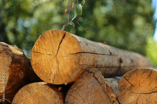 firewood