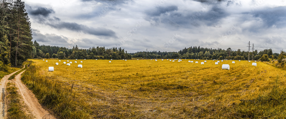Naklejka premium Hay on field