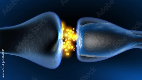 Neurotransmission in the Synapse. 3D rendered animation. 
 photo