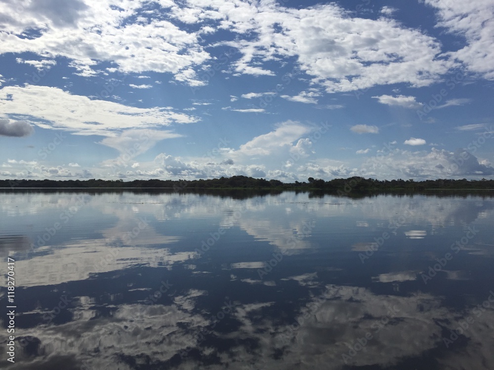 Amazon reflections