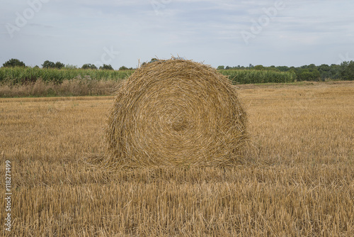 One straw roll in a field