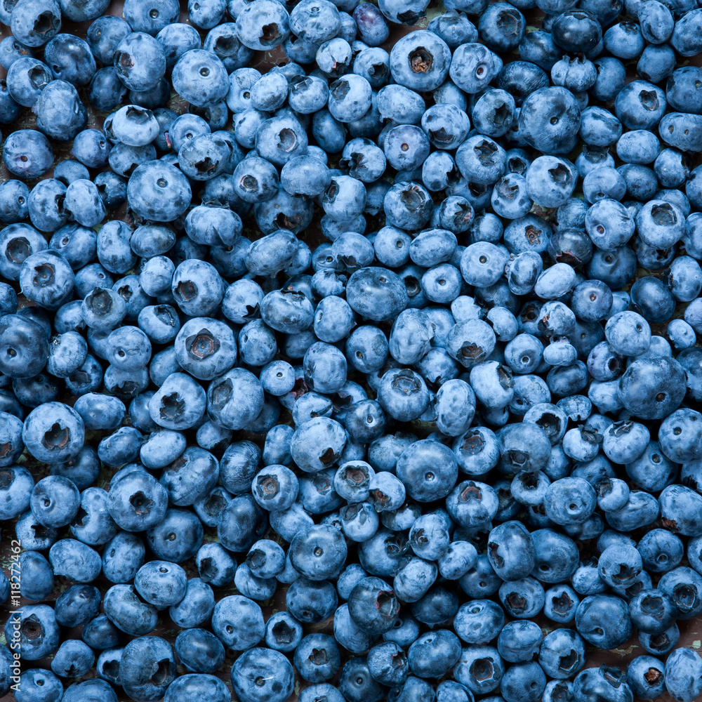 Blueberries close up Blueberries close up