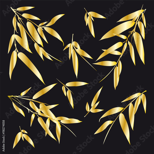Bamboo branches on black background.