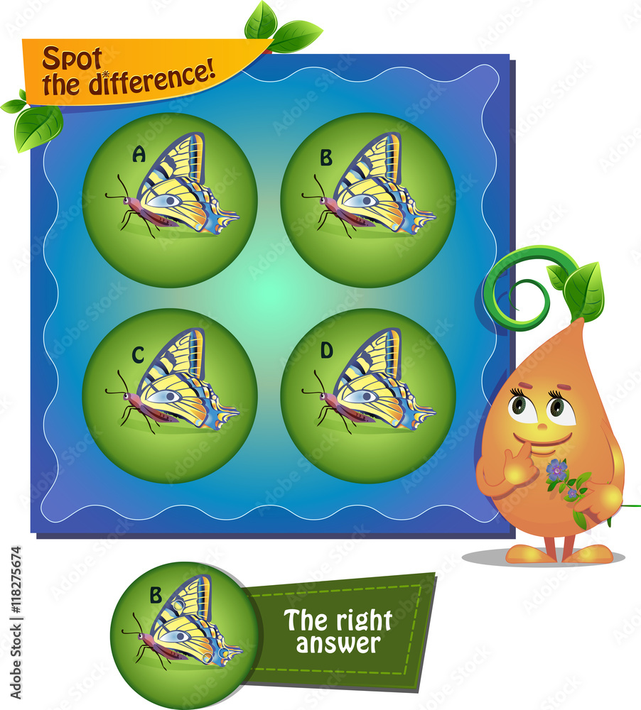 Spot the difference butterfly Spot the difference butterfly