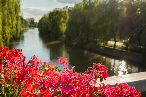 Terrace/bridge with flowers, view over a river, city scene, holiday and relaxation concept © icephotography