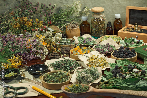 Quadro em tela Set healing herbs.