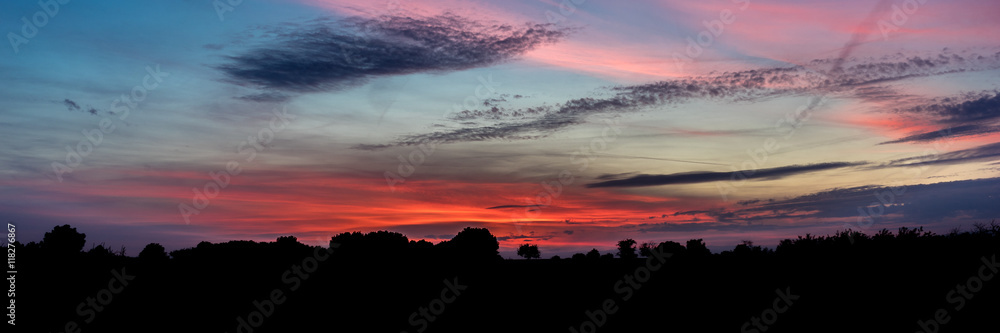 Fototapeta premium Sunset and Tree Silhouette with a beautiful Sky Panorama
