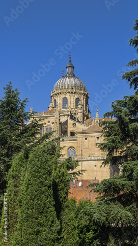 view of Salamanca with Tormes River and Cathedral. Castile and Leon, Spain