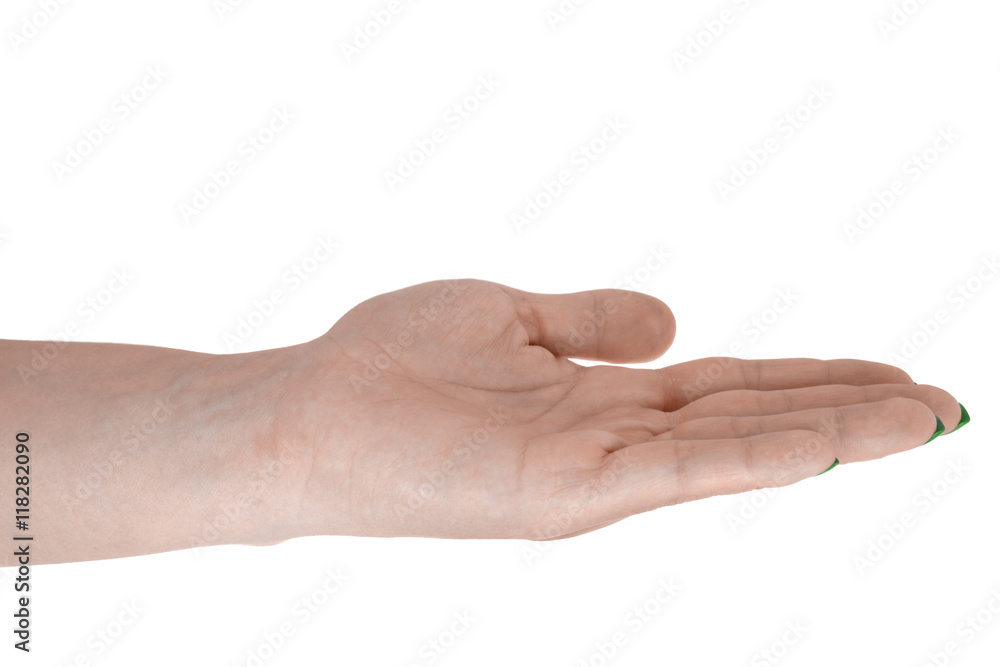 Open hand showing something, natural woman's skin, green manicure. Isolated on white background Open hand showing something, natural woman's skin, green manicure. Isolated on white background