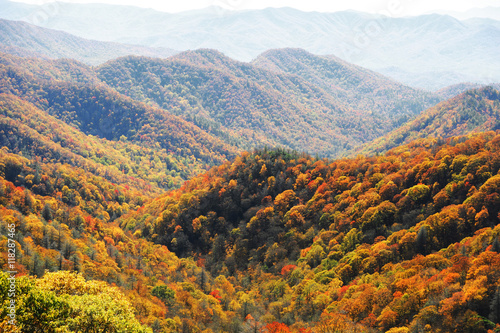 autumn mountain and colorful forest © nd700