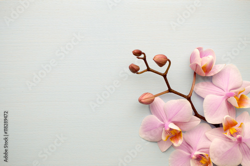 Fototapeta Naklejka Na Ścianę i Meble -  Spa.