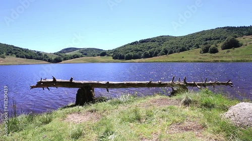 un tronc d'arbre posé horizontalement sur les rives d'un lac de montagne  photo