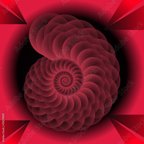 Op art abstract image in red and black design. Transparent spiral seashell on black background. Transparent spiral seashell on black background.