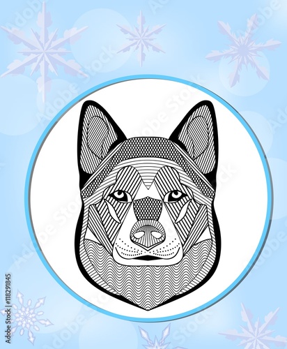 Malamute head. Flyer with malamute dog head on light blue background with snowflakes. Graphic template for dog racing, mushing. Black and white line drawing.