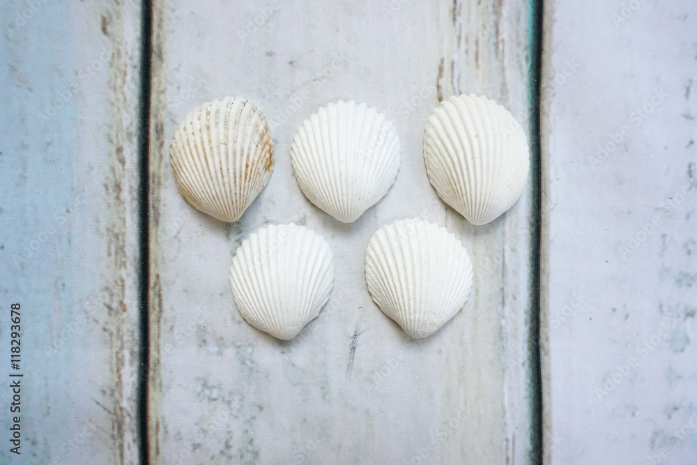 Sea shells form olympic rings on wooden background