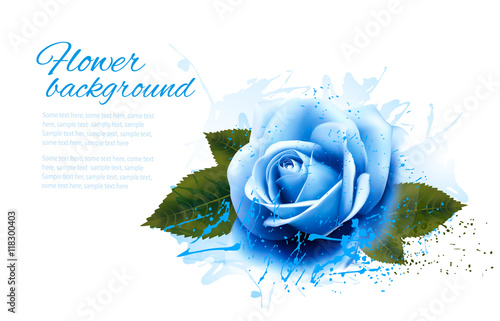 Greeting card with blue rose. Vector