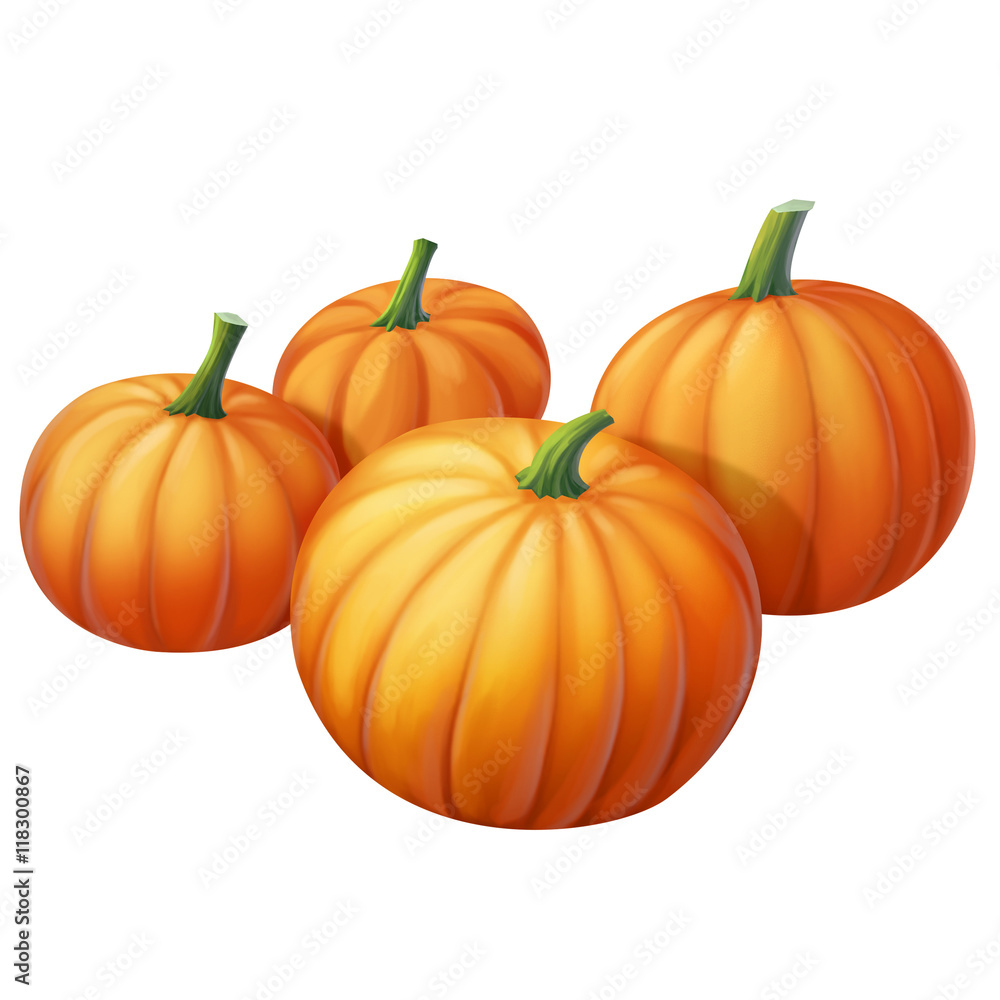 pumpkin isolated on white background pumpkin isolated on white background