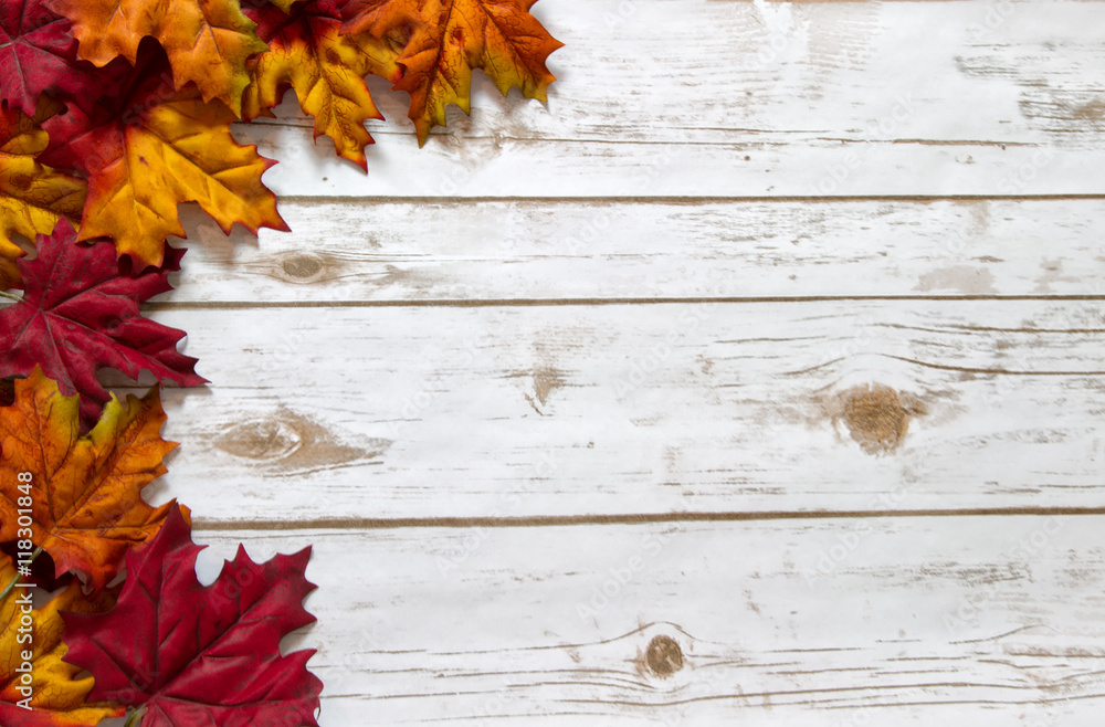 Fall and Autumn leaves on a whitewashed wood plank board - obrazy, fototapety, plakaty 