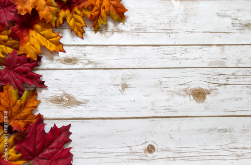 Fall and Autumn leaves on a whitewashed wood plank board