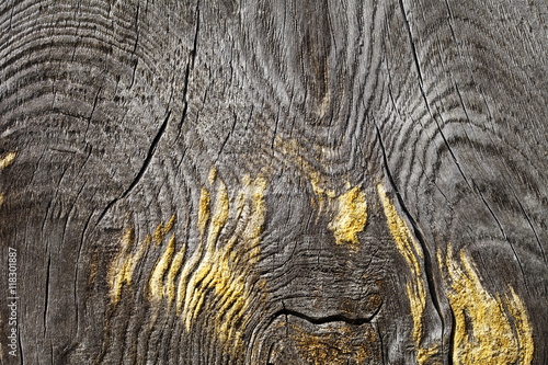 wood texture  grunge  cracked  high-resolution image