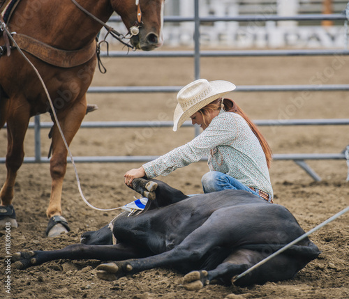 Caucasian cowgirl tying cattle in rodeo