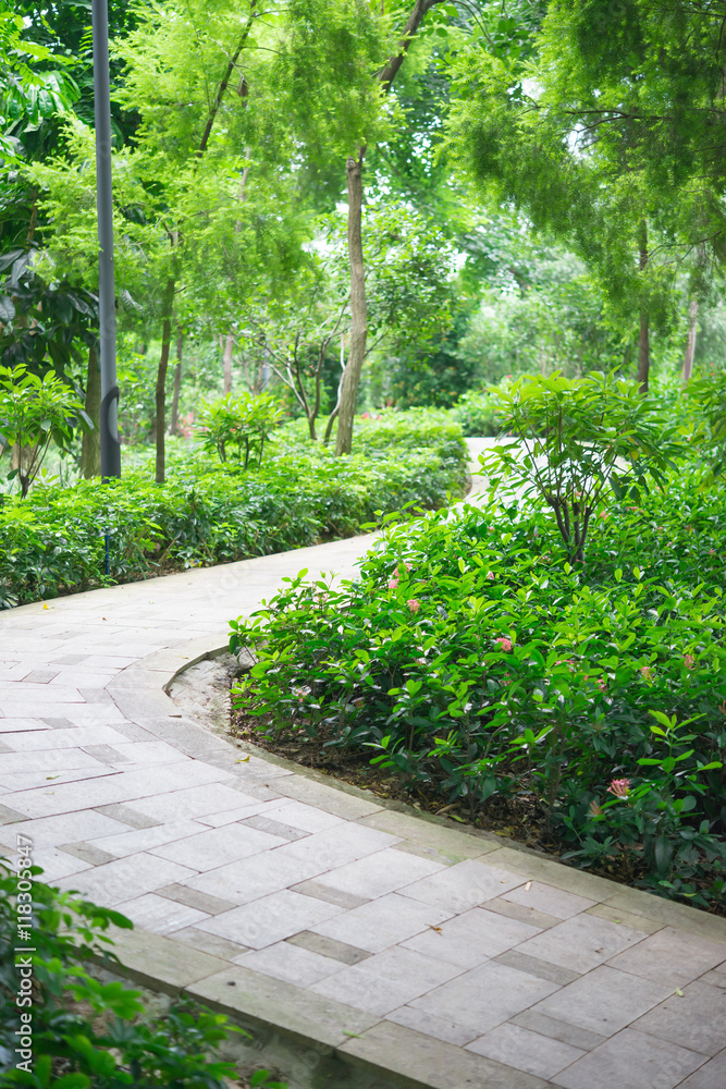 curved outdoor pathway in a garden