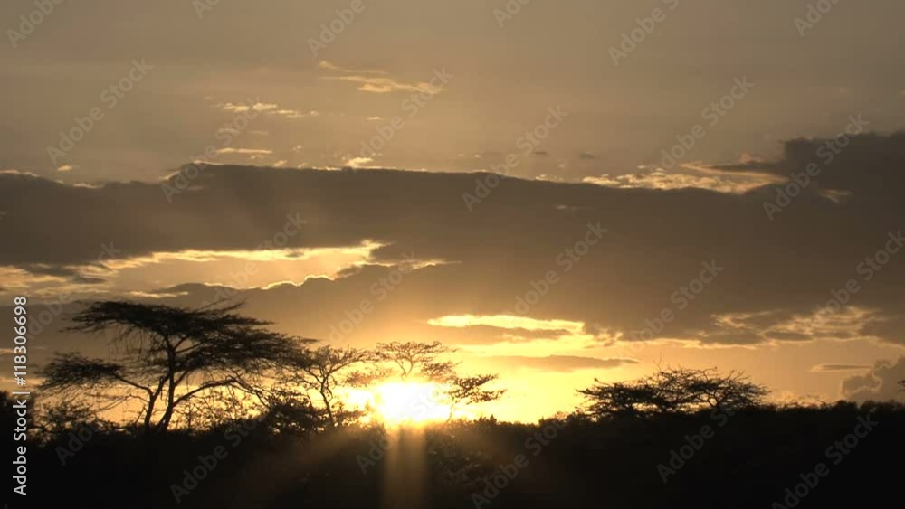 Sunset on the savanna Sunset on the savanna