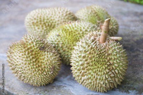 Fresh durian from the garden for sale