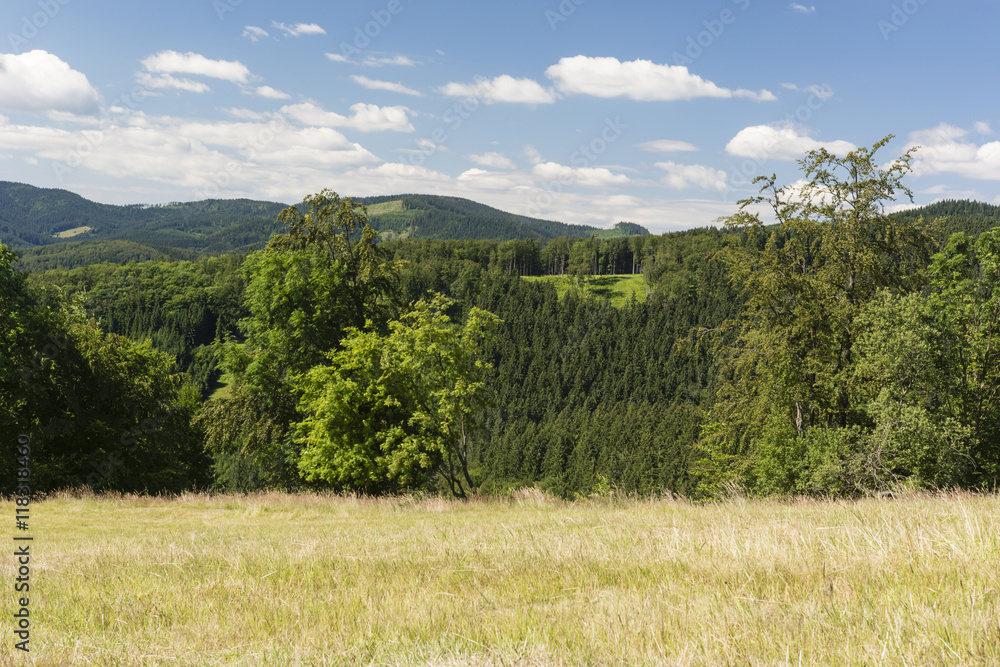 Pasture, forest and blue sky in the mountains. Pasture, forest and blue sky in the mountains.