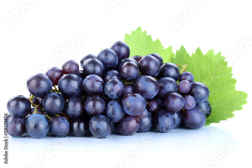 Trauben Weintrauben blau frische Früchte Obst Freisteller freig