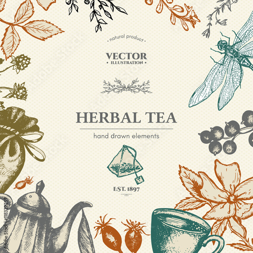Herbal tea vector card design