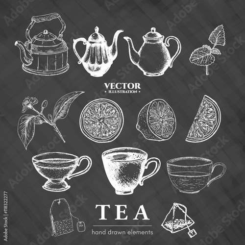Hand drawn tea collection vector