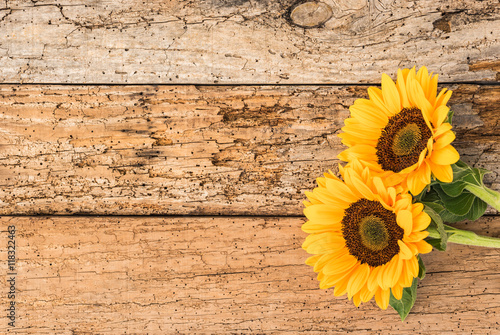 Fototapeta Naklejka Na Ścianę i Meble -  Blümchen zum Geburtstag 