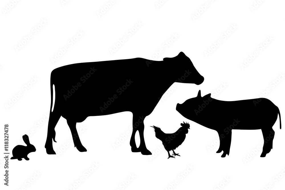 Vector silhouette of farm animal. Stock Vector | Adobe Stock