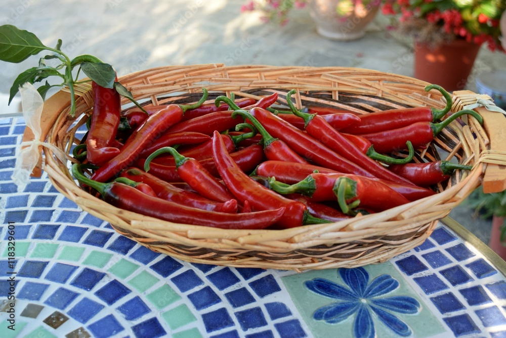 cestino con peperoncini piccanti su un tavolo da giardino cestino con peperoncini piccanti su un tavolo da giardino
