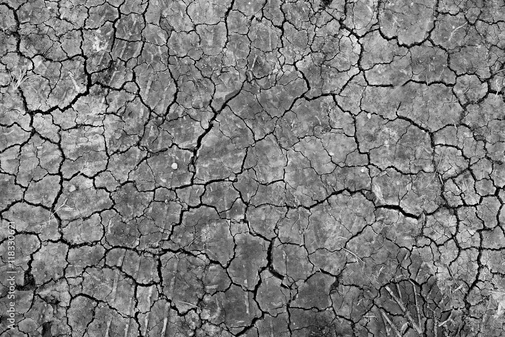 Fototapeta premium black Dry ground wallpaper
