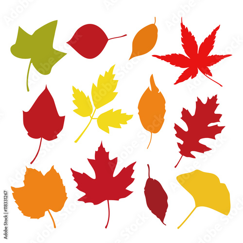 Autumn Leaves