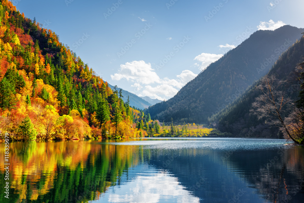 Scenic view of the Panda Lake. Autumn woods reflected in water Scenic view of the Panda Lake. Autumn woods reflected in water