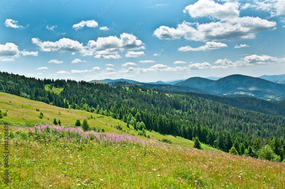 Fototapeta premium Beautiful mountains landscape