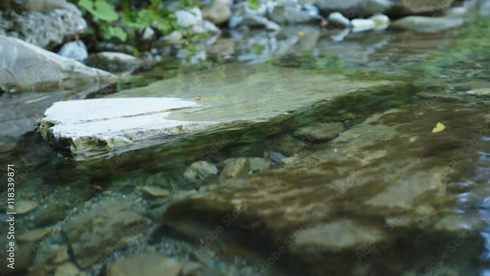 Stones in the crystal clear water of the mountain river on a summer day Stones in the crystal clear water of the mountain river on a summer day