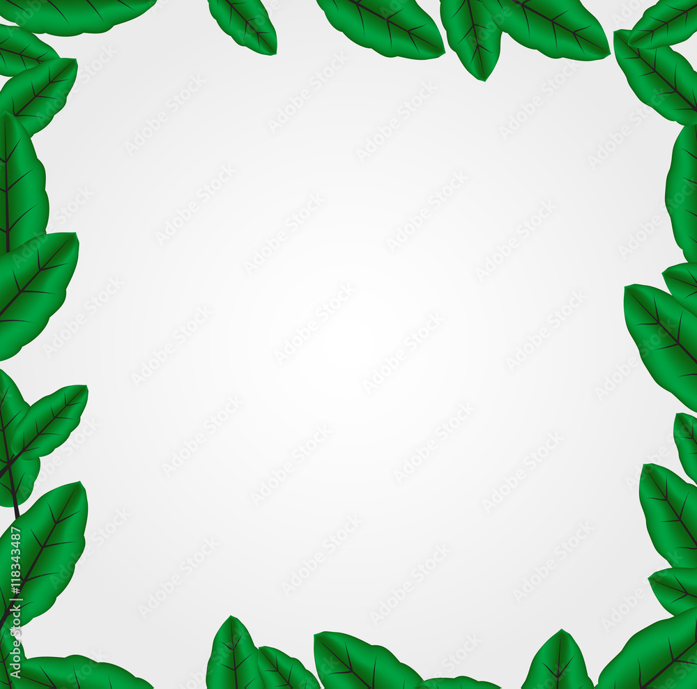 the frame of laurel leaves on white background