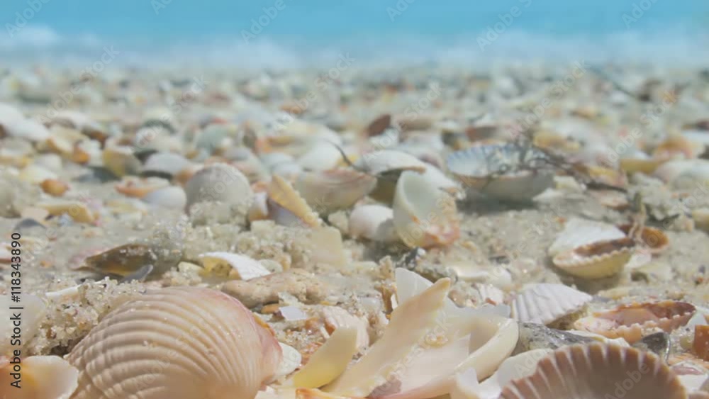 The waves beating against the shore of a sandy beach with seashells. Slow motion The waves beating against the shore of a sandy beach with seashells. Slow motion