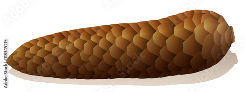 Constipation - symbolically depicted with a brown spruce cone.