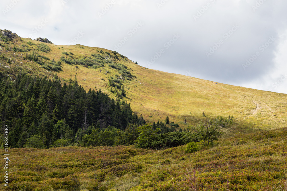 Summer landscape of Carpathian mountains