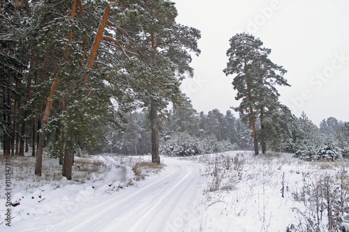 Fototapeta Naklejka Na Ścianę i Meble -  Winter road in the forest