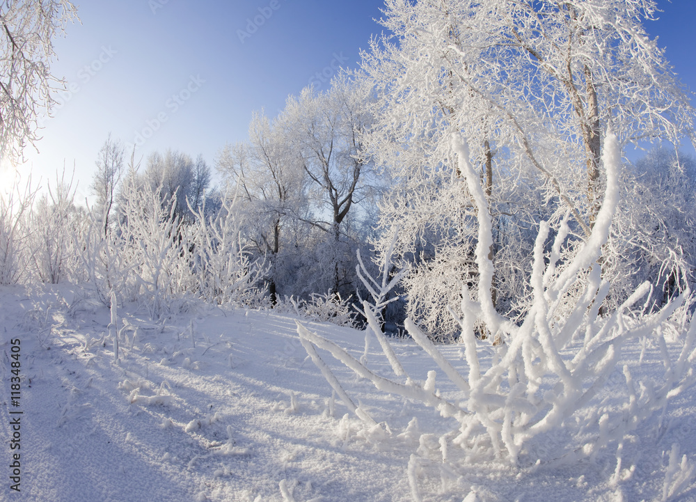 winter landscape winter landscape