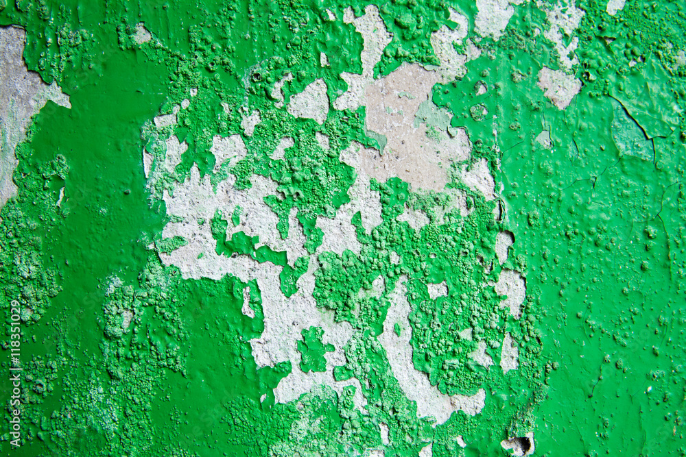 Obraz premium green background texture cement wall