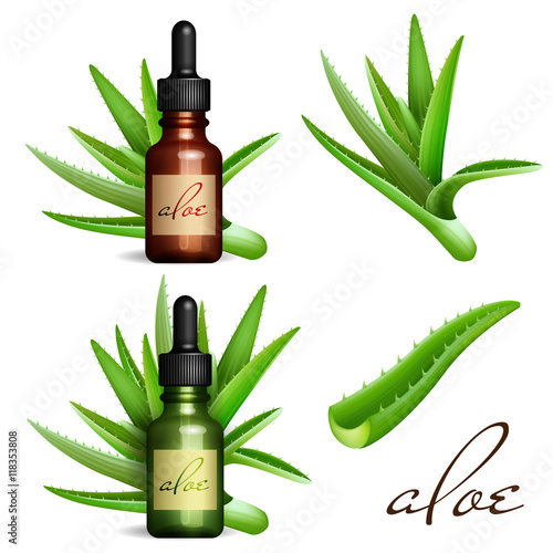 Realistic Aloe Vera and essential oil bottle.  Cosmetic vial, flacon