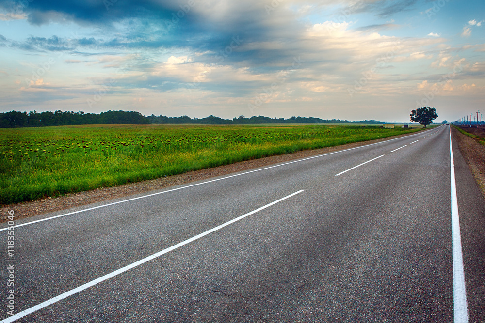 Fototapeta premium Empty asphalt road between flower meadows in the countryside.